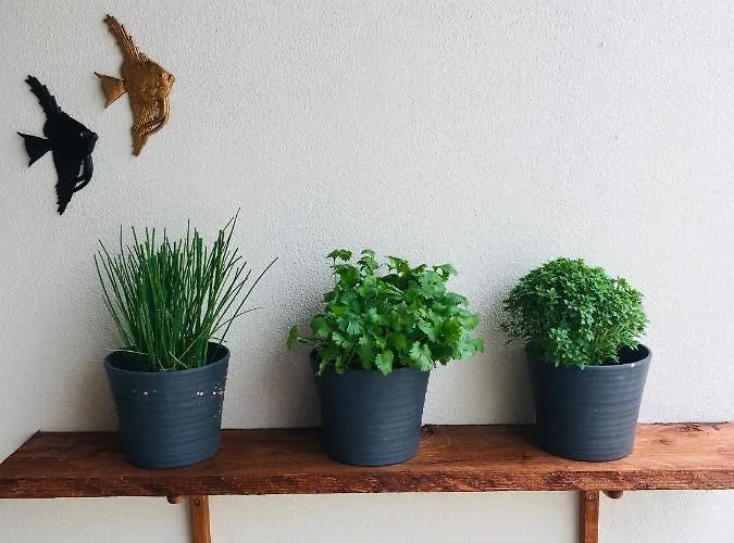 Pensjonat Pillows 3*